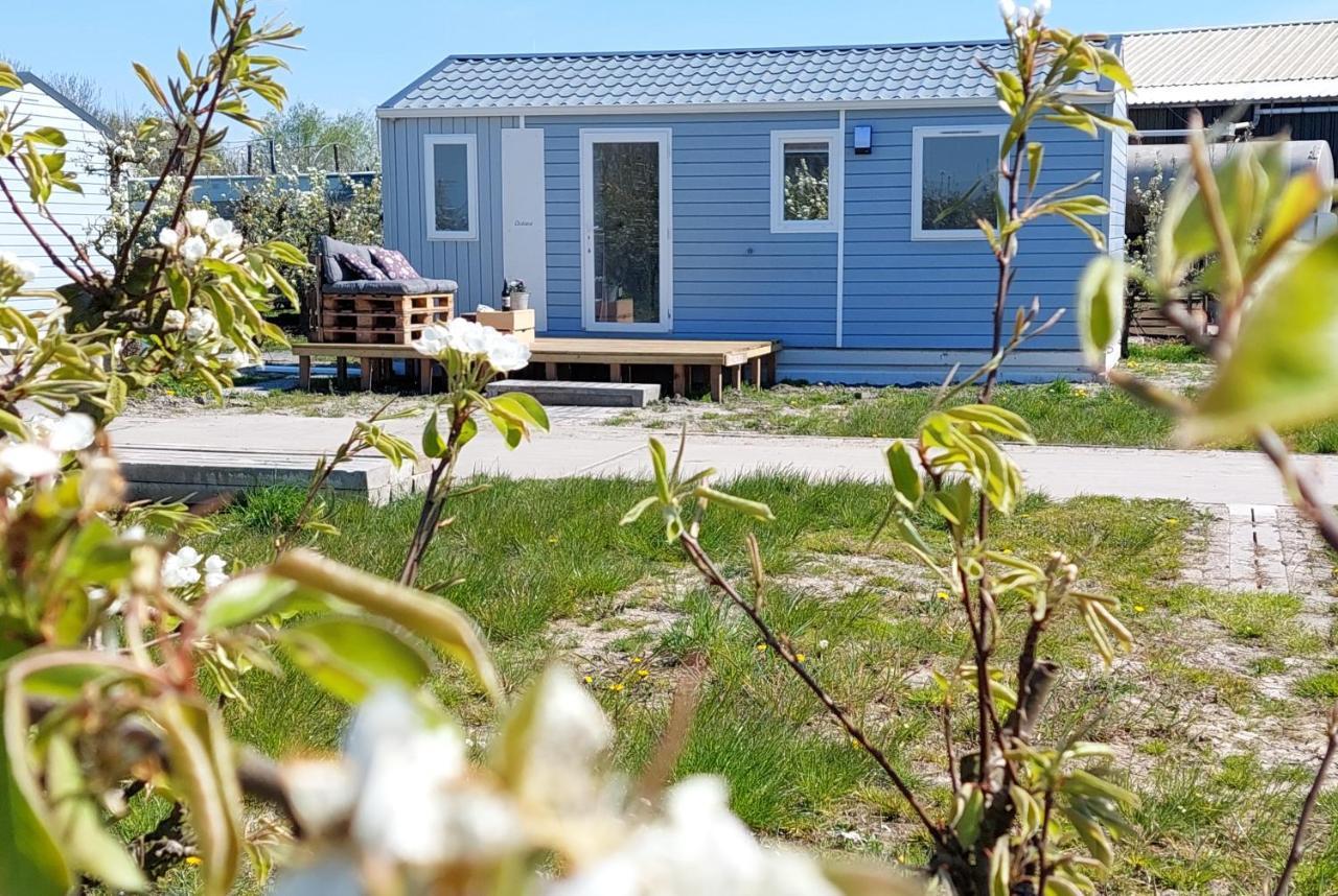 Chalet Elstar Hengstdijk Kültér fotó