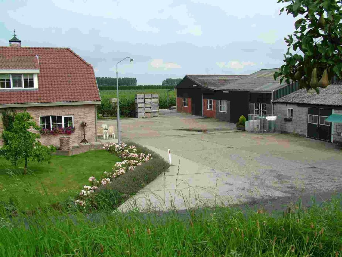 Chalet Elstar Hengstdijk Kültér fotó